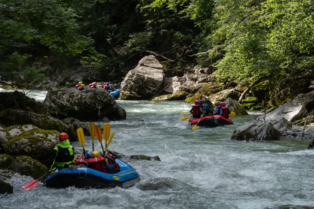 Whitewater rafting teams navigate a rocky forest river with helmets and paddles.